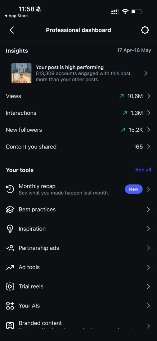 Instagram insights, 10.6M views in 30 days